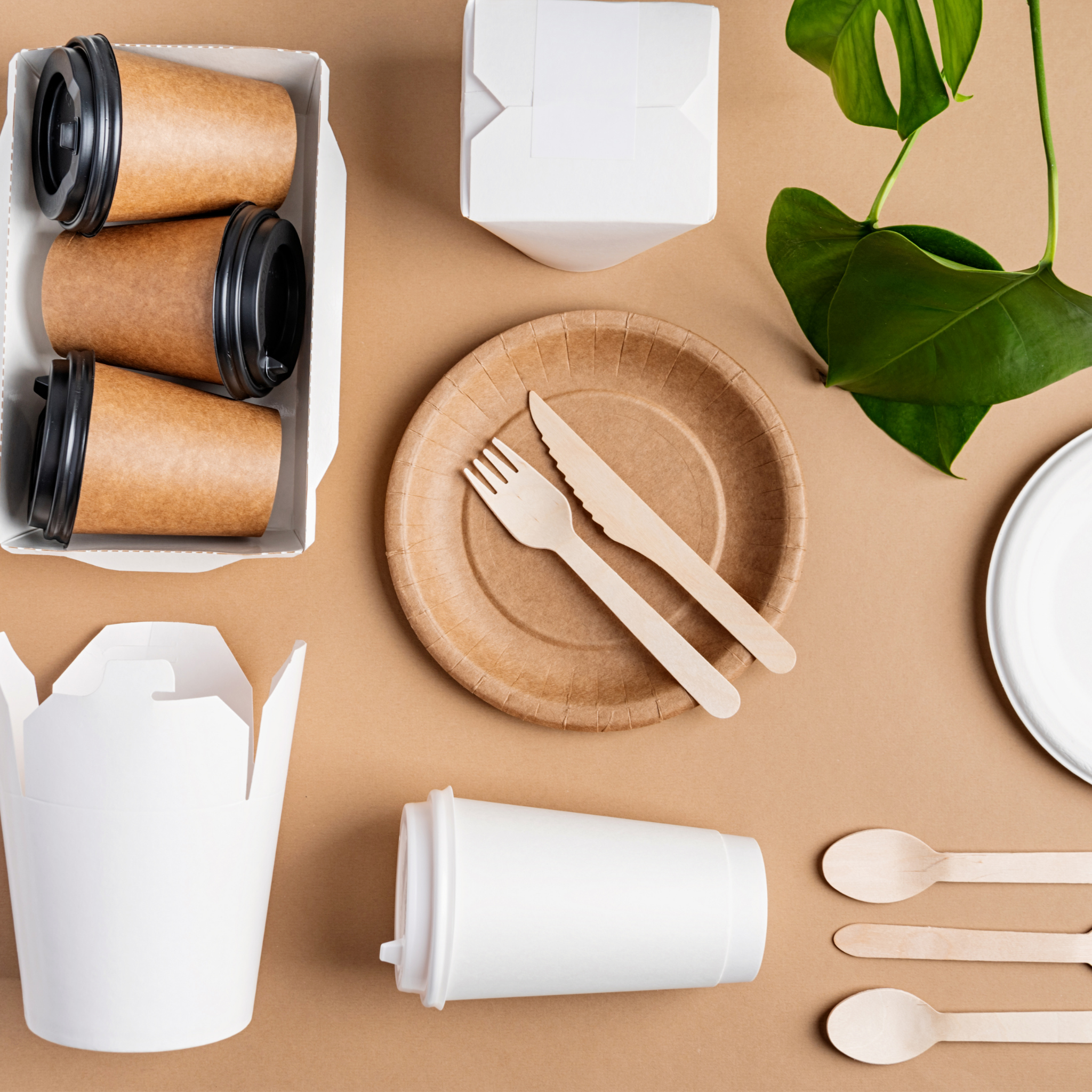 Food packaging tends 2026