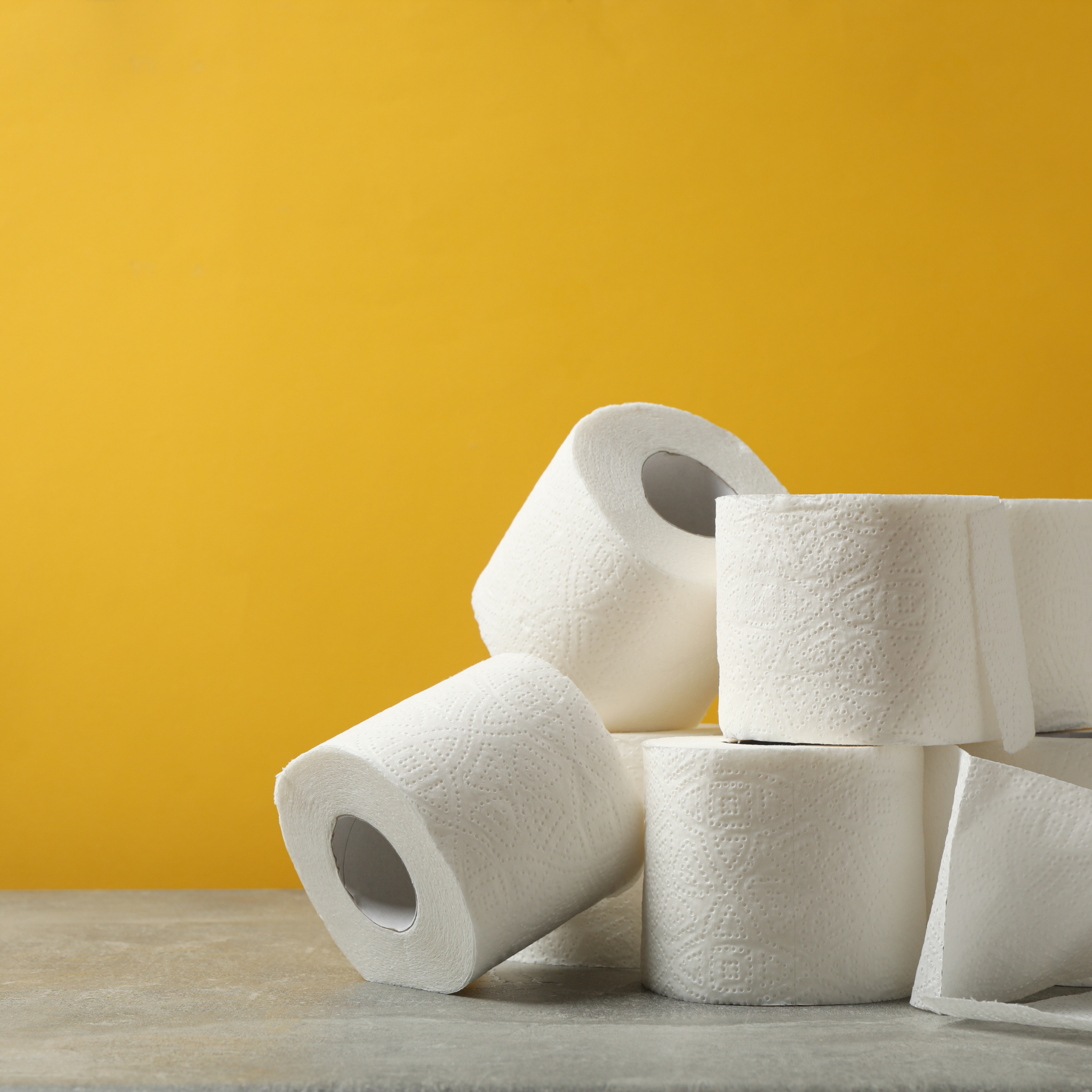 Deluxe Toilet Roll 10 x 4 Rolls - 2 Ply
