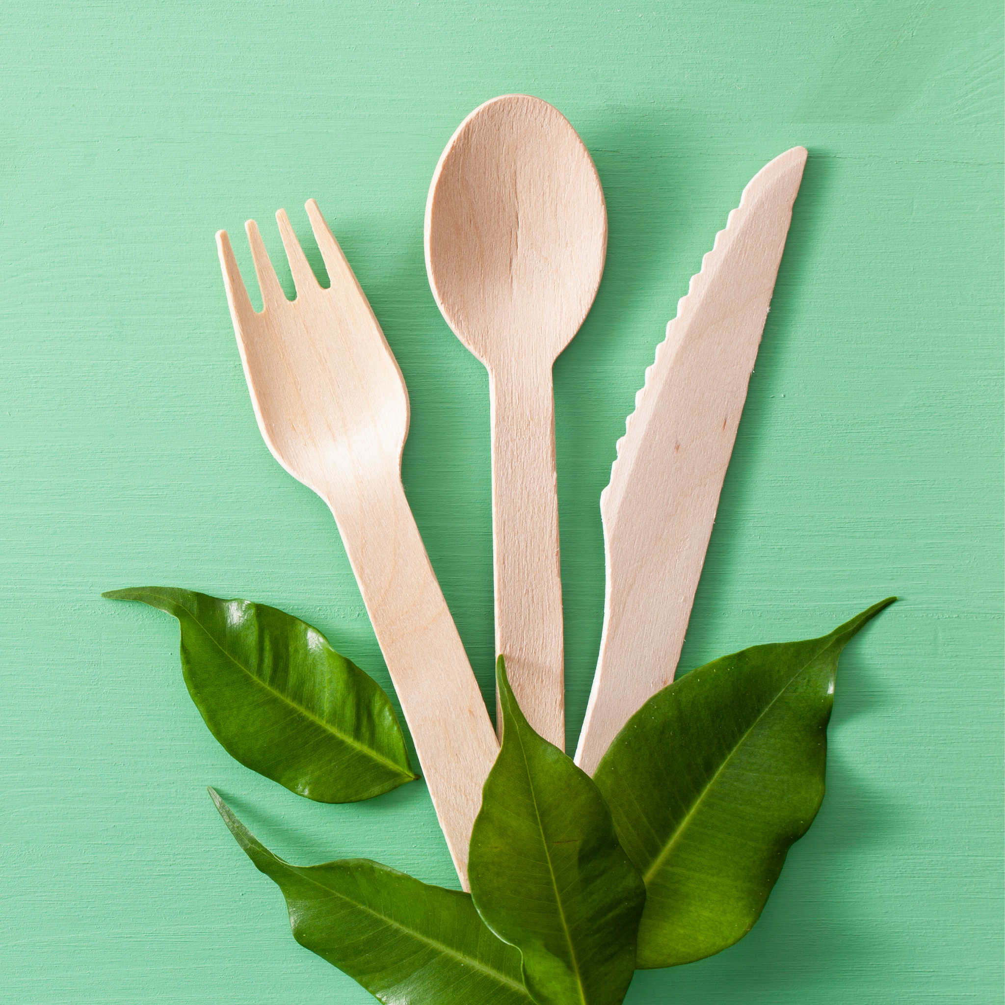 Wooden Disposable Cutlery (2000pcs)