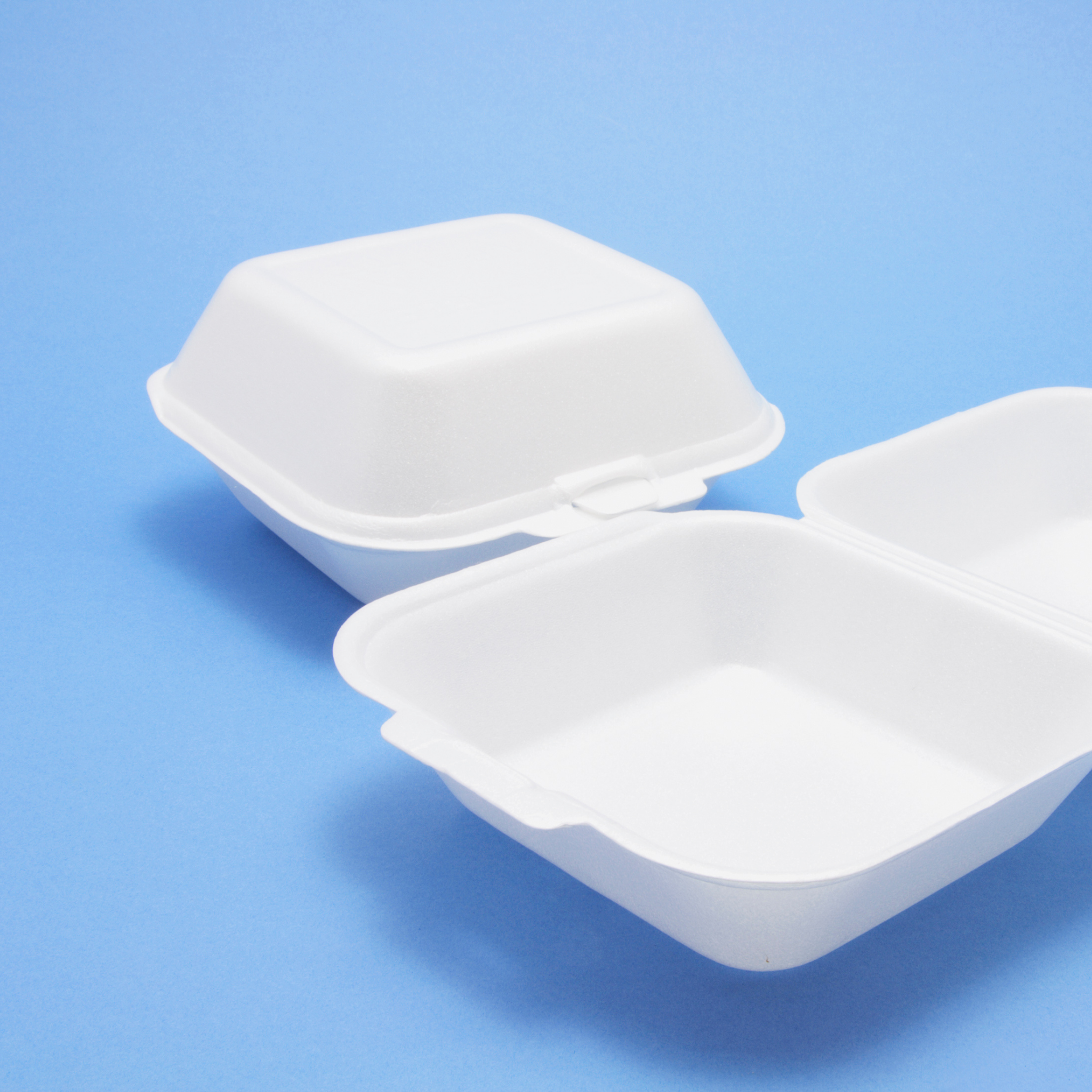 Bagassee Clamshell Meal Boxes
