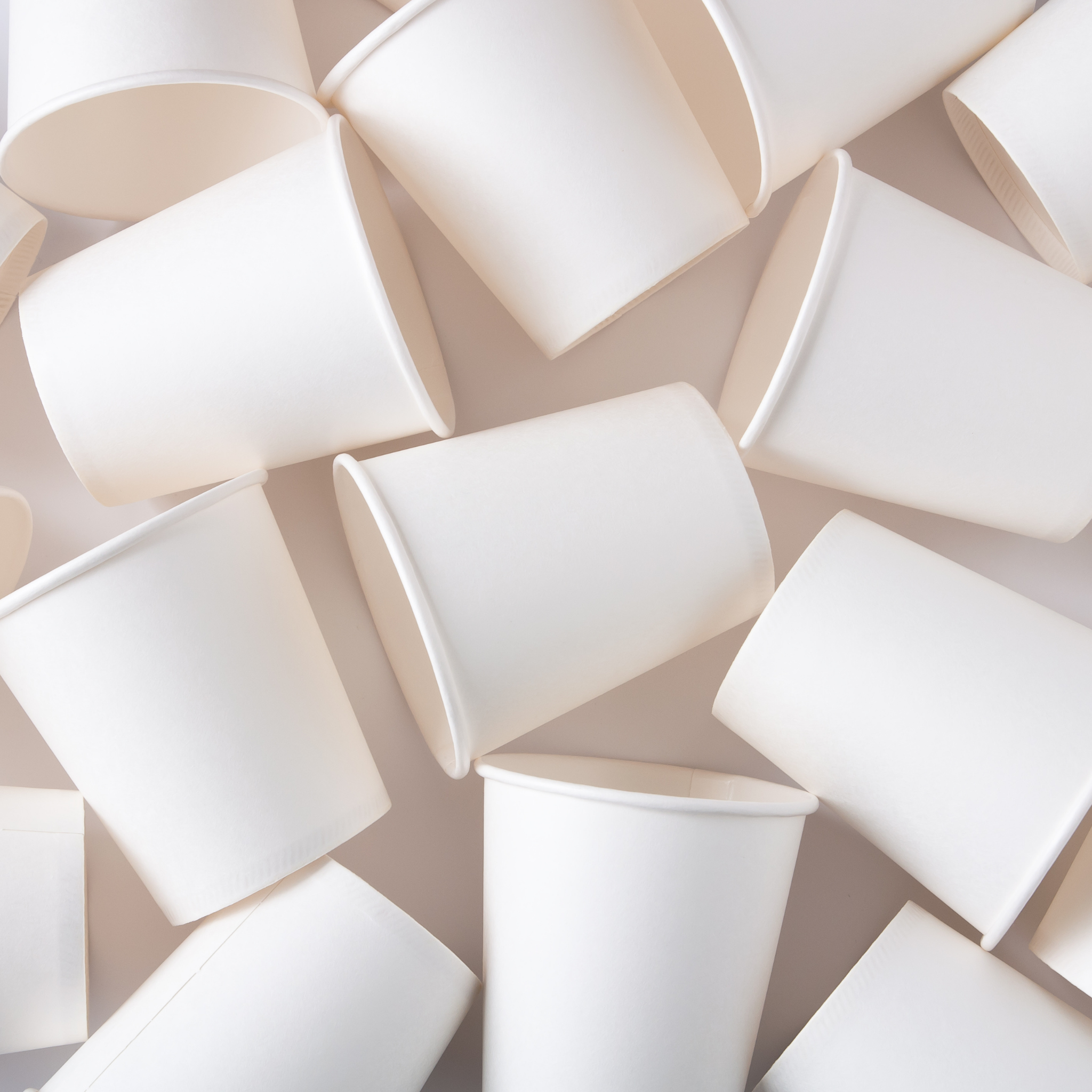 Compostable White Single Walled Cups (1000pcs) - 310GSM (Thick)
