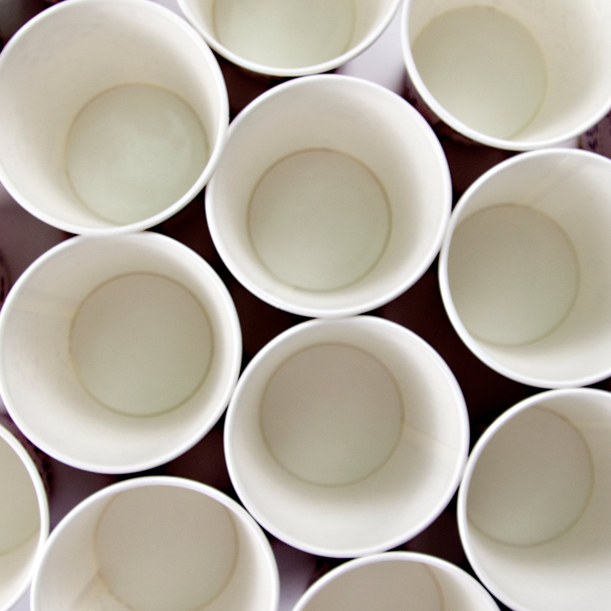 Compostable White Single Walled Cups (1000pcs) - 310GSM (Thick)