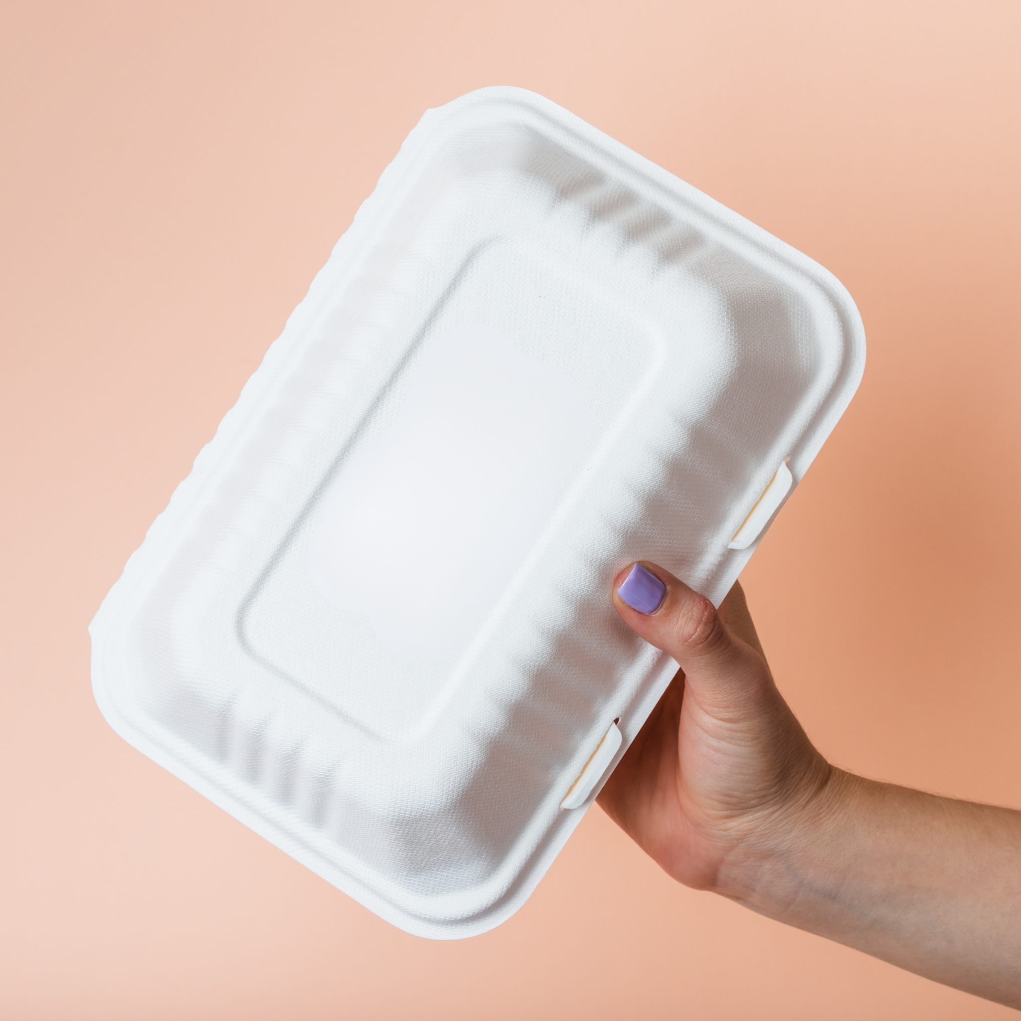 Bagassee Clamshell Meal Boxes