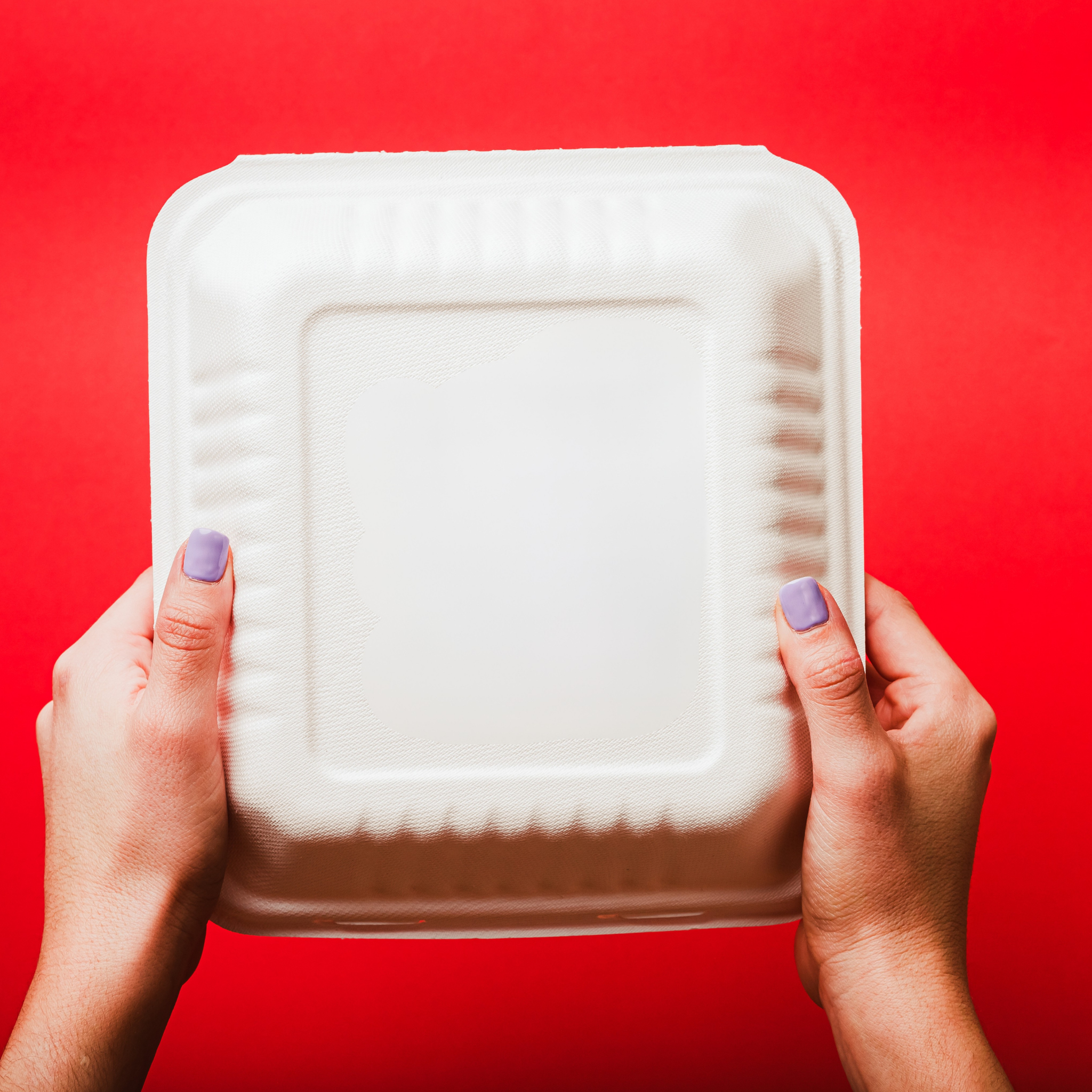 Bagassee Clamshell Meal Boxes